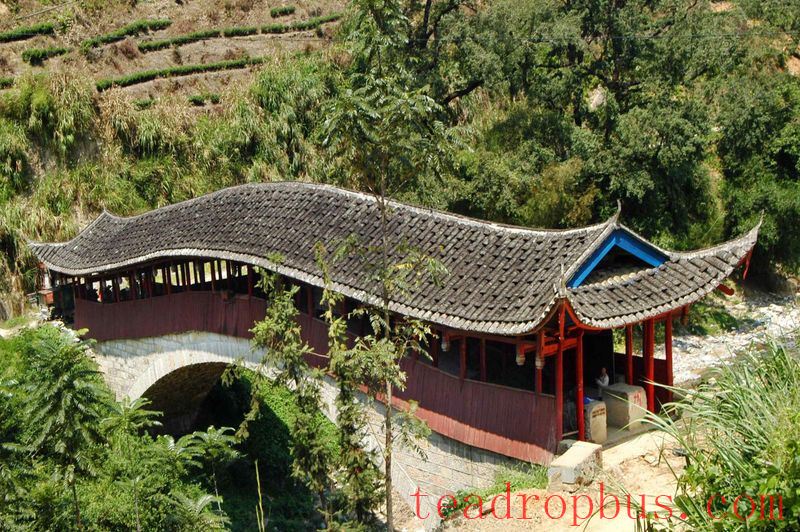 A Tea Village Known as 