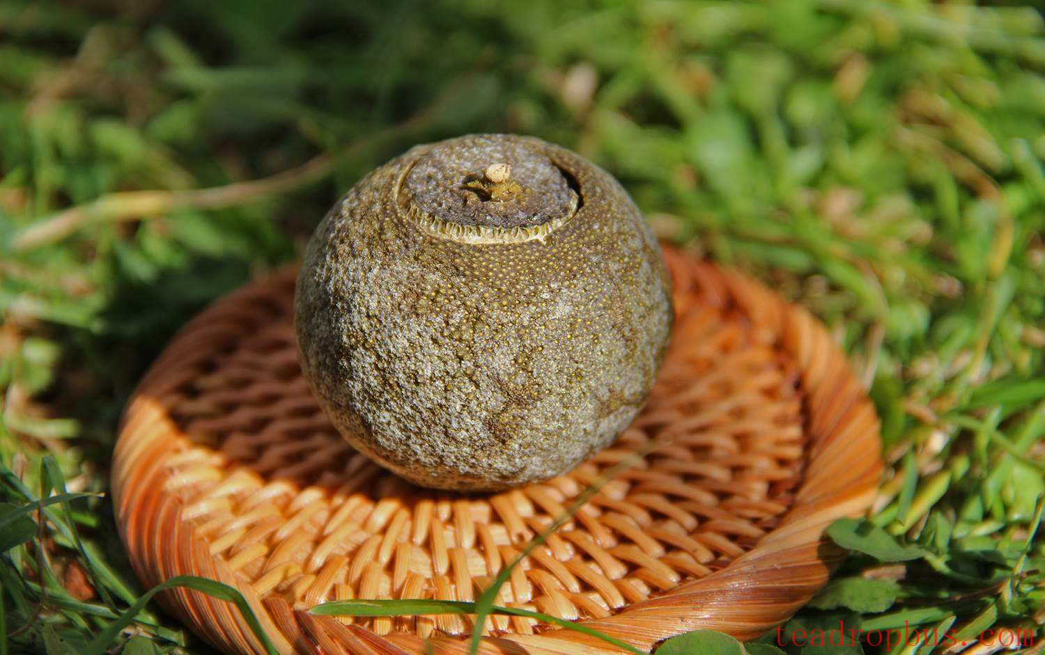 How to Properly Brew Xiao Qing Gan Tea: Aroma Filling Your Senses and Sweetness Lingering in Your Mouth-1