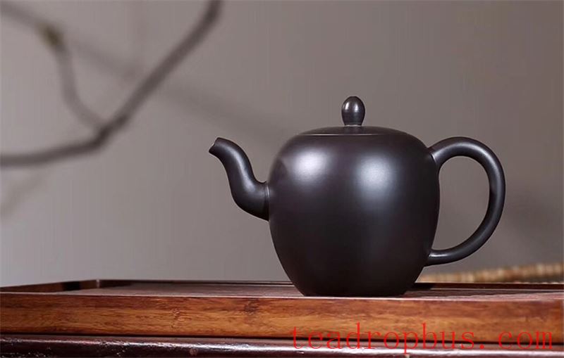 Purple Clay Trivia: Can you tell the quality of a Purple Clay Teapot just by tapping it?-1
