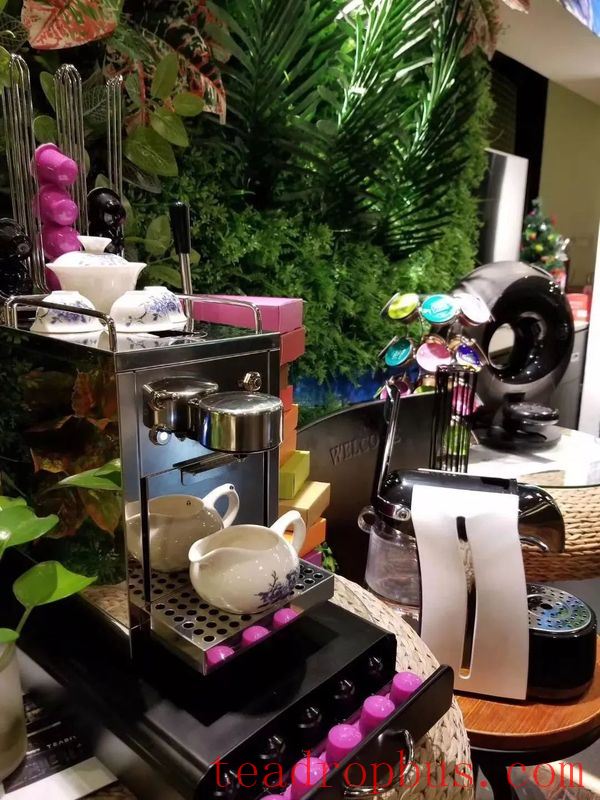 What Does Tea Extracted with a Coffee Machine Taste Like?-5
