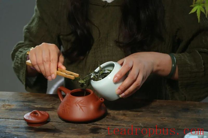 What Kinds of Tea Are Suitable for Summer? What Kinds of Teapots Go Well with Them?-4