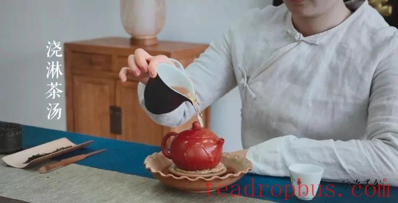 Playing with Purple Clay Pots: How to Become a Master at Nourishing Your Pot?-2