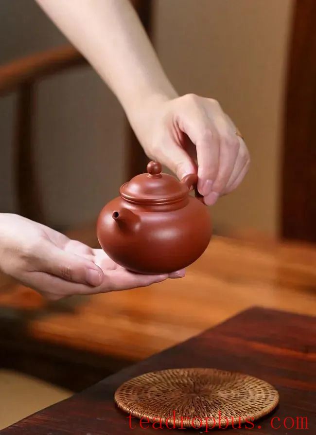Purple Clay Teapot: Choosing, Brewing, Nourishing, and Cleaning Your Teapot-4