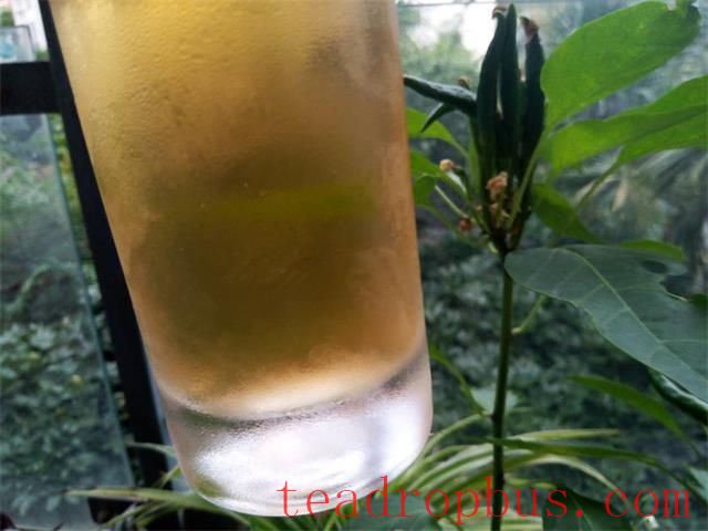 Great Heat Tea Drinking: Points to Note-1