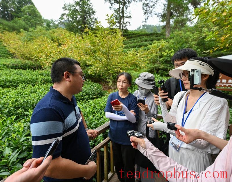 Nanping Wuyishan: Pursuing a Path of Ecological Priority and Green Development-1