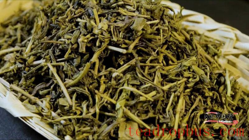 Chen Quanfu, Inheritor of the Intangible Cultural Heritage for the Making Skills of Liuan Huangda Tea-2
