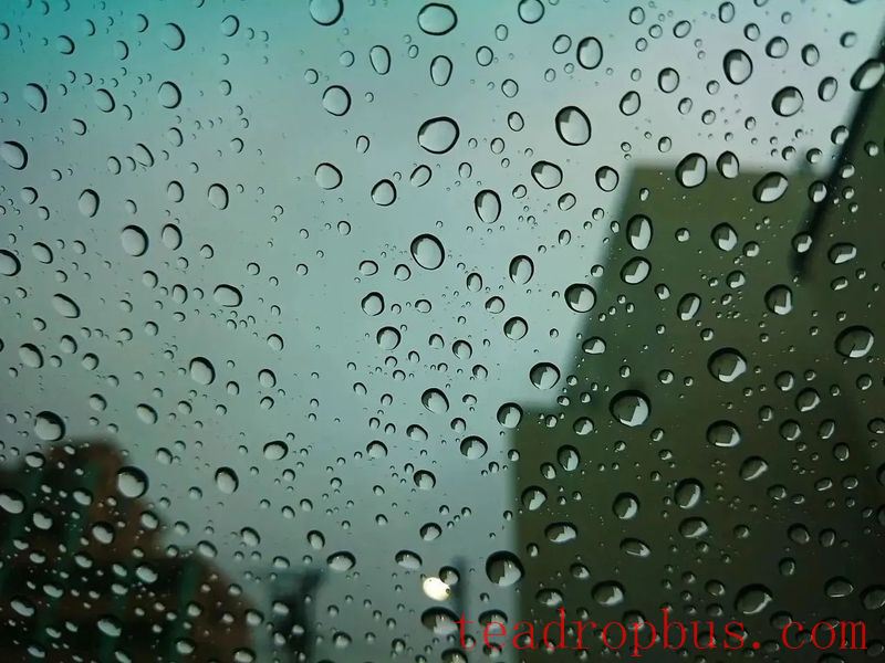 With Continuous Rain and High Humidity, What Tea Should You Drink?-4