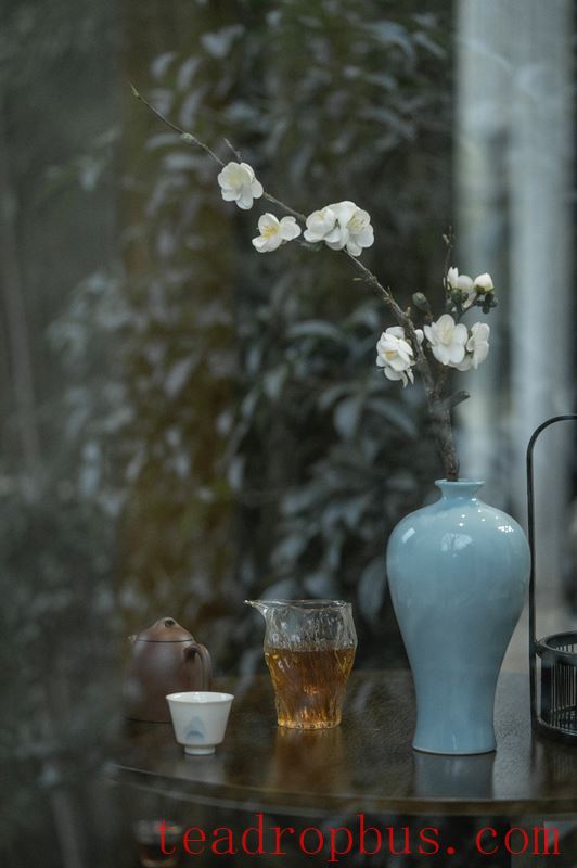 How to Drink Tea for Better Health in Spring? Drinking tea in spring is better than a good prescription.-3