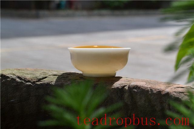 What are the different experiences of bitterness when drinking Pu'er tea?-2