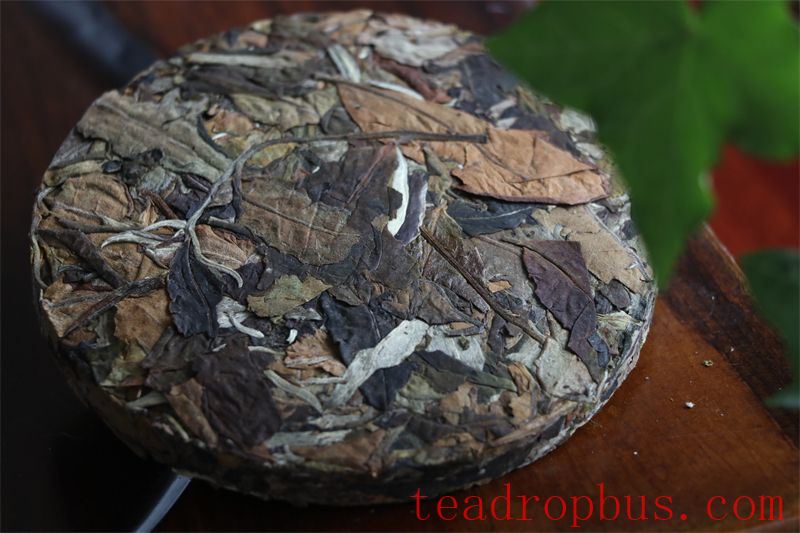 Mild Summer Season: What Tea is Best for Beating the Heat?-2