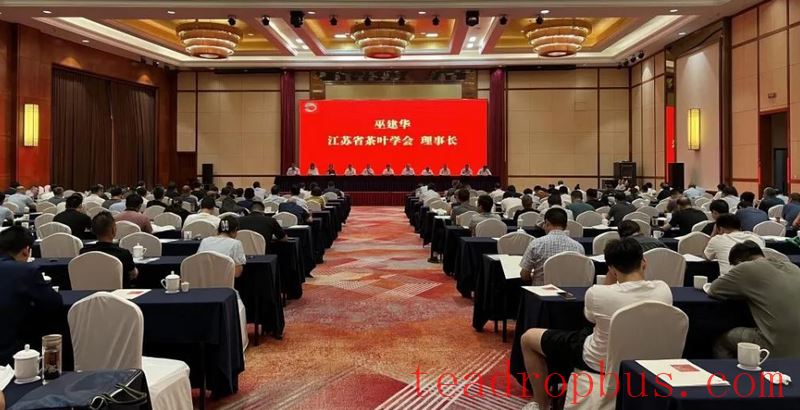 2024 Jiangsu Tea Industry New Quality Productivity Seminar Held-2