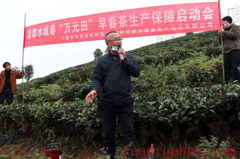 Early Winter, Busy with Tea Garden Management-8