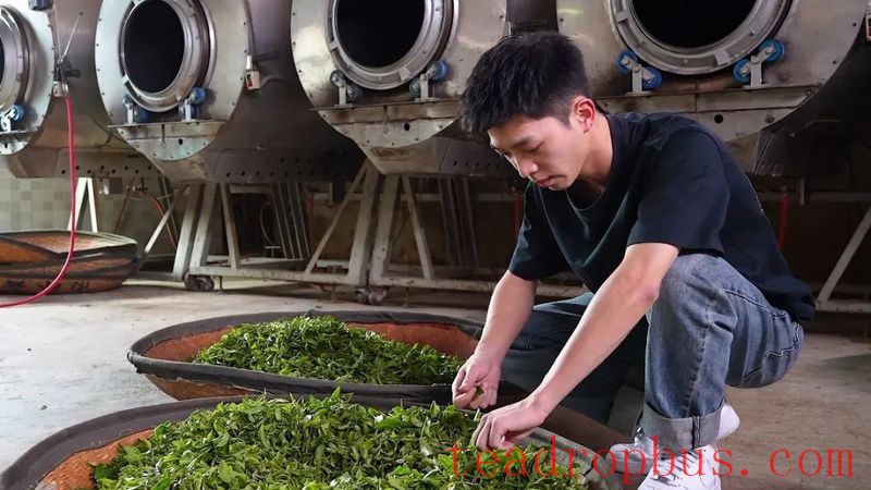 Nanling Town: Integrating Agriculture, Tourism, and Culture, Writing a Big Article on High-Quality Development with 