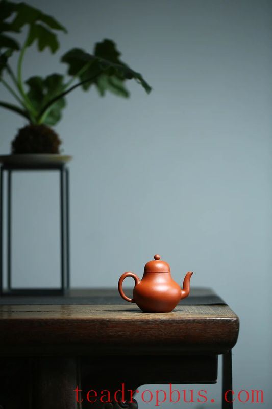 Ten Teapots Most Adored by Women-5