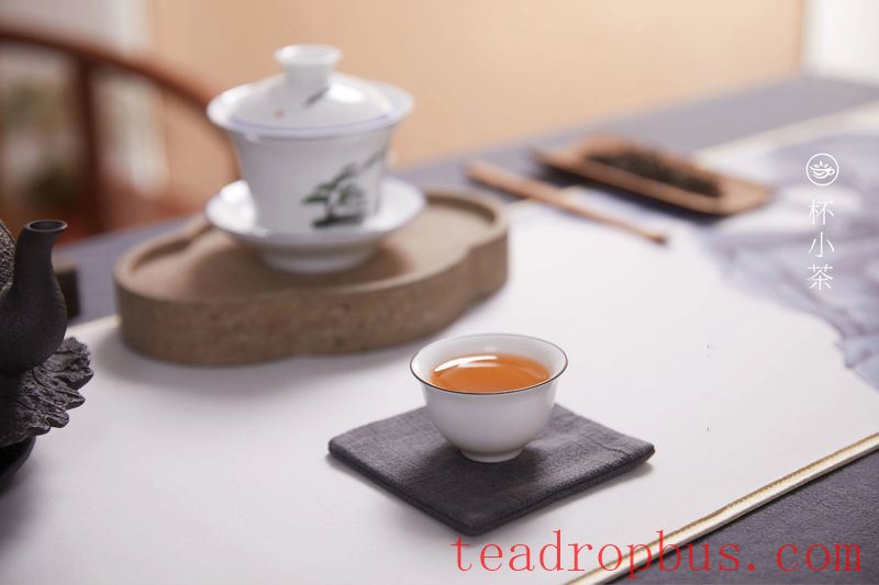 10 Different Coasters, All in One Look!-5