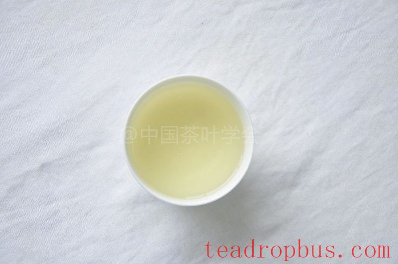 Intangible Cultural Heritage of Humanity: Traditional Chinese Tea Processing Skills - Green Tea Chapter ① – West Lake Longjing-15