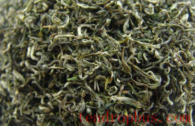 Biluochun Tea Brewing Method: Savor the Greenness of Spring-3