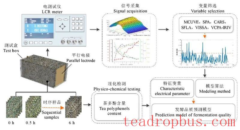 Research Status of Digital Processing in Tea-5