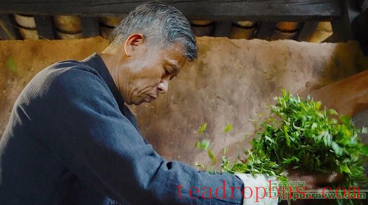 Puer Tea (Tribute Tea) Manufacturing Skills-1