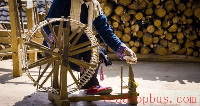 The Thousand-Year Tea Growers: The Bulang People of Yunnan-4