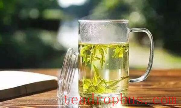 How to Brew the Perfect Green Tea: The Art of Time Control-1