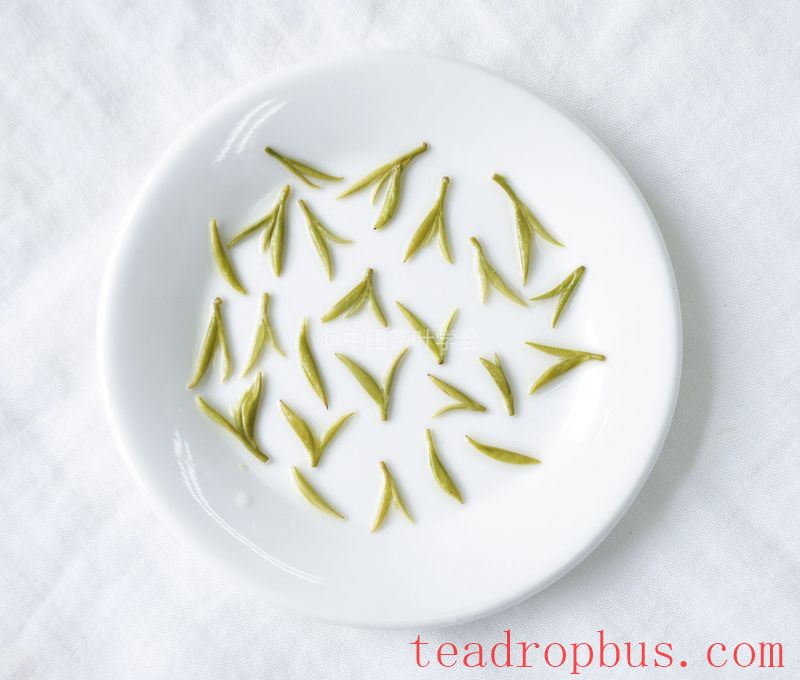 Intangible Cultural Heritage of Humanity: Traditional Chinese Tea Processing Skills - Green Tea Chapter 4: Biluochun, Xinyang Maojian, and Wuyuan Green Tea-5