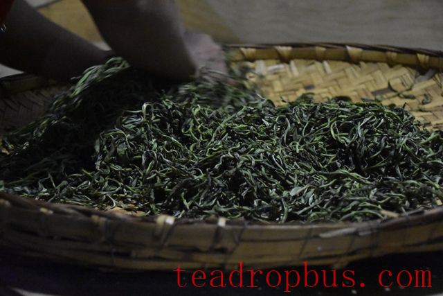 The Process of Making Green Tea-3