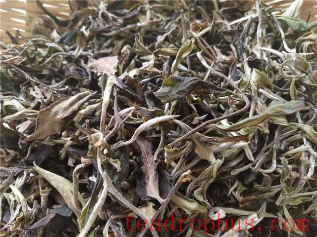 How to Enjoy a Cup of Tea After the Onset of Summer?-1