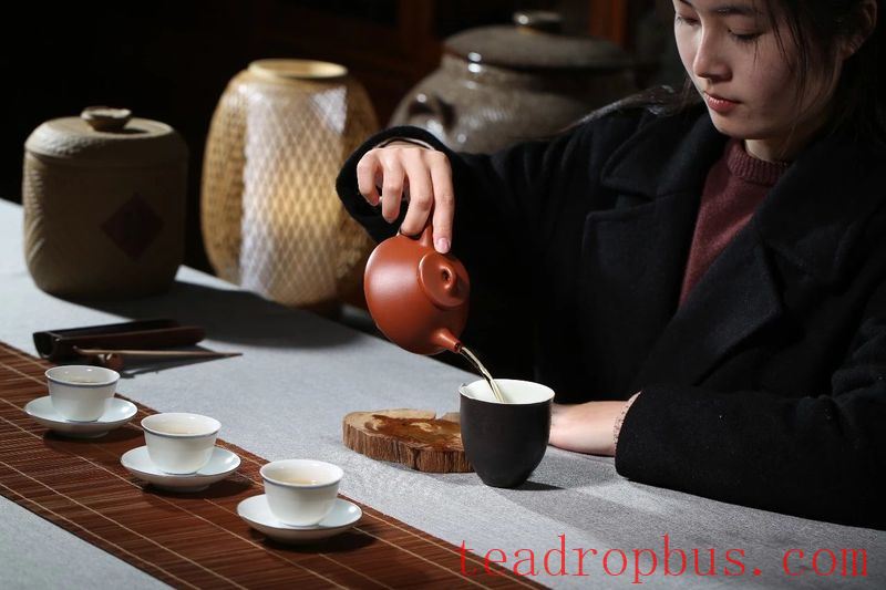 Using the Correct Way to Hold Your Teapot Instantly Elevates Everything!-8