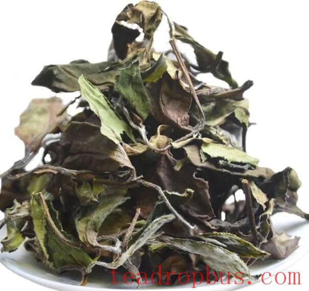 A Complete Guide to Brewing White Tea! No More Worries About Brewing-4