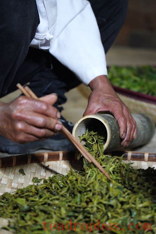 The Sour Tea of Jingmai Mountain: How Elaborate is its Preparation?-9