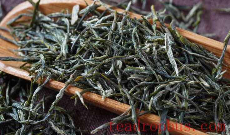 How to Enjoy Xinyang Maojian in Summer-3