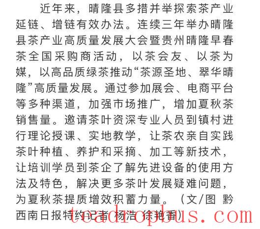 Qinglong Tea Industry: Promoting Transformation and Upgrading to Boost Income for Tea Farmers and Enterprises-5