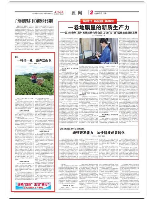 Ziyun: Cultivating a Tea Leaf to Activate an Industrial Chain-1
