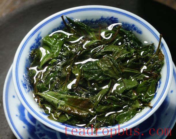 Why Start Drinking White Tea with Shoumei?-4