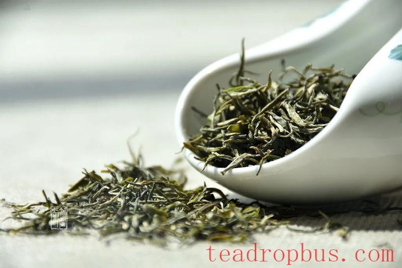 Green Tea is Best Enjoyed Fresh – Instead of Worrying About the Expiry Date, Learn How to Store It Properly!-2