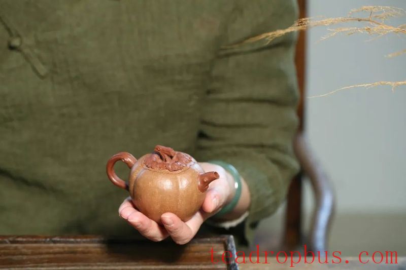 Purchasing, Using, and Nourishing a Teapot: A Simple Summary of 24 Tips-3