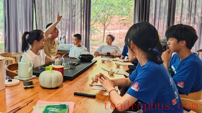 Hai University Students Conduct Tea Industry Research in Yongfu, Fujian-7
