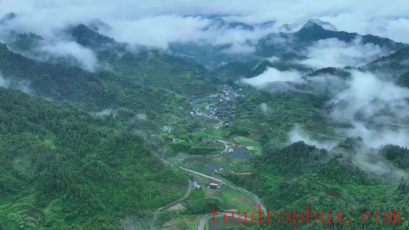Fusion Development of Tourism and Tea Industry in Guzhang County Boosts Urban and Rural Incomes-1