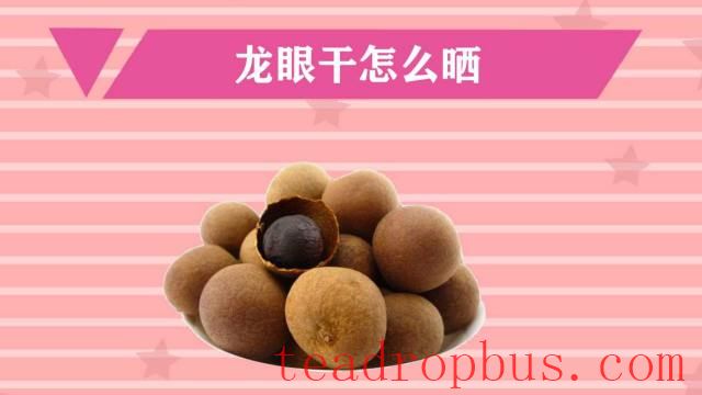 Longan Tea Pairing Guide: A Perfect Blend of Deliciousness and Health-1