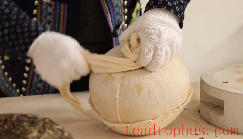 Puer Ning'er: Empowering Tea Culture Inheritance and Development with Intangible Cultural Heritage Techniques-3