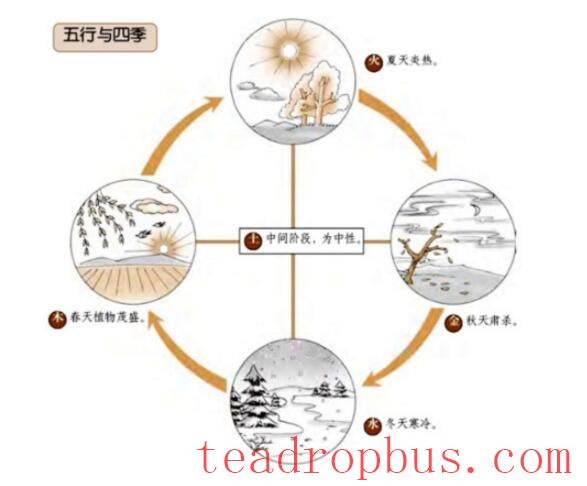 Spring: From the Perspectives of the Five Elements and Health Preservation, Here's How to Drink Tea-1