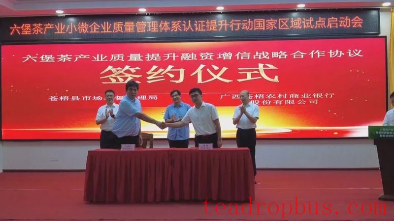 Cultivating Small and Micro Tea Enterprises to Advance the Growth of Liubao Tea Industry-2