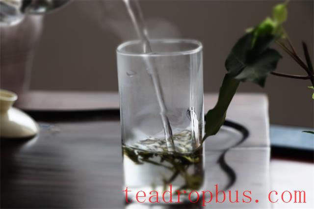 Should Green Tea Be Rinsed? Why Green Tea Doesn't Need to Be Rinsed-2