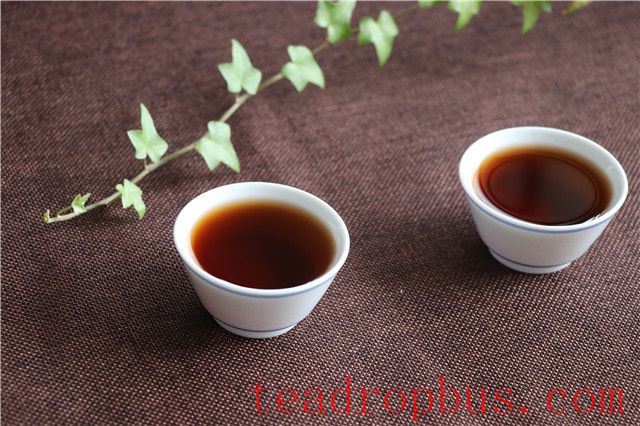 What Are the Benefits of Drinking Pu'er Tea Regularly?-2