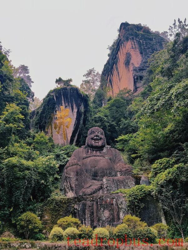 A Thousand-Year Cup of Tea —— The Indissoluble Bond Between Wuyi Rock Tea and Buddhism-2