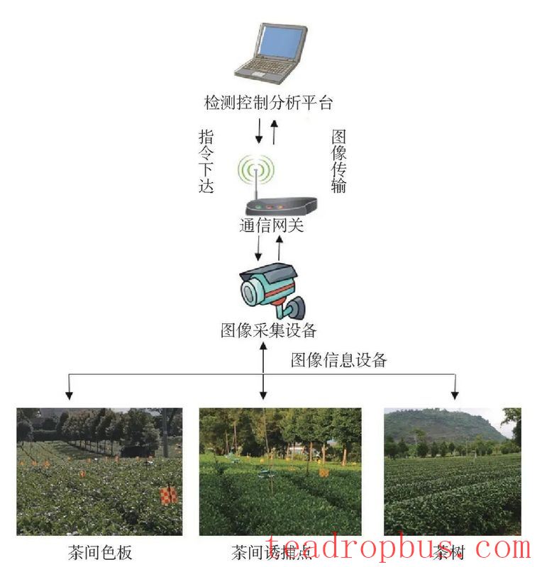 Research Progress on Intelligent Management of Tea Tree Planting-5