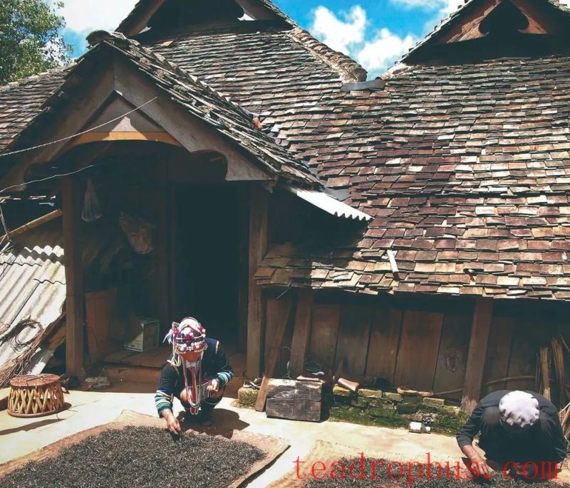 Tea Becomes Vast Through Inclusiveness-3