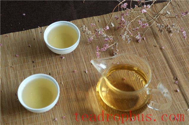 Who Should Drink Tea? What Kind of Tea?-1