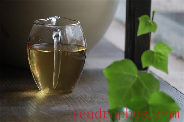 Start of Summer: Tea Drinking for Healthier Living-3